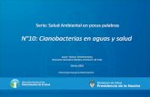 Serie: Salud Ambiental en pocas palabras · 2018-08-13 · Acerca de las cianobacterias en aguas Las cianobacterias son organismos microscópicos fotosintéticos, conocidos históricamente