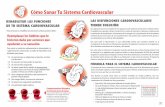 Cómo Sanar Tu Sistema Cardiovascular - Nutrabiotics · vascular causa hipertensión. Una aplicación correcta y completa de este programa suele optimizar las funciones cardiovasculares.