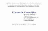 El caso de Costa Rica - United Nations...Política fiscal: deuda interna, ‘disparadores’, ciclo político-electoral, política de gasto restrictiva (2002-2005), intentos de reforma