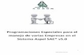 Programaciones Especiales para el manejo de varias Empresas en el Sistema Aspel SAE…sorom.com.mx/portafolio/variasempresas.pdf · 2015-03-10 · Aspel SAE® se encuentra registrado