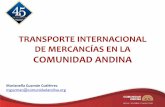 TRANSPORTE INTERNACIONAL DE MERCANCÍAS …...cometidas en su territorio por los transportistas autorizados que lo realizan y por las empresas que ejecutan transporte internacional