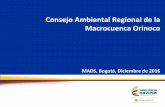 Consejo Ambiental Regional de la Macrocuenca Orinoco€¦ · Estratégico de la macrocuenca y de los acuerdos que resulten del CARMAC, en los demás instrumentos de planificación