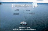 Industria Acuícola Chilena - LarrainVial · • Sin tratamiento caligus • Mortalidad de solo 2,6% • Cosecha al cabo de 12 meses / 4,5kg Medidas implementadas Autoabastecimiento