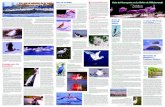 Aves de la Bahía En las islas de anidamiento, las personas y los … · 2018-10-10 · El Santuario de Aves de las islas de “Richard T. Paul” (La Isla de Aves, localizada hacia