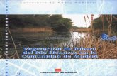 BVCM003154 La vegetación de ribera del río Henares en la ... · Medio Ambiente, también viene trabajando en el estudio y la conservación de los bosques de ribera. Como fruto de