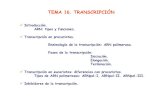 Universidad de Sevilla - TEMA 16. TRANSCRIPCIÓN 16...5. Tras la polimerización de 6-10 nucleótidos la subunidad σσσσse separa de la holoenzimay va en busca de nuevos promotores,