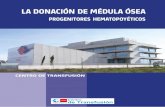 LA DONACIÓN DE MÉDULA ÓSEA - Comunidad de Madrid · CENTRO DE TRANSFUSIÓN LA DONACIÓN DE MÉDULA ÓSEA 4 1-INFORMACIÓN GENERAL Los progenitores hematopoyéticos (PH), o células