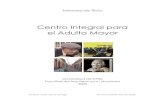 Centro Integral para el Adulto Mayor - Universidad …repositorio.uchile.cl/tesis/uchile/2006/ruiz_c/sources/...4 1.2-. El Envejecimiento en Chile: Nuestro país está viviendo un