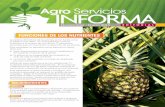 Agro Serviciosforma INagroserviciopr.com/wp-content/uploads/2017/03/EDICION-2... · 2017-03-19 · AgroIN Serviciosforma Noviembre - Enero 2016 EDITORIAL La cadena alimenticia de
