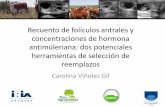 Recuento de folículos antrales y concentraciones de ...ºblicos/INIA Tacuarembó/2018/Cría/Carolina... · Impacto de la vaca de primera cría en la eficiencia reproductiva del rodeo