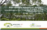 Estrategia Nacional REDD+ Costa Rica · 2019-09-18 · Costa Rica, conjuntamente con Papúa Nueva Guinea, propuso REDD+ como una forma de ampliar la inclusión de los bosques en la