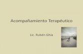 Acompañamiento Terapéutico - Argentina...El Acompañamiento Terapéutico y la época • En una época signada por la pérdida de referentes y la precariedad de las redes de sostén