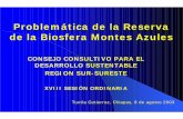 Problemática de la Reserva de la Biosfera Montes Azulesccds.semarnat.gob.mx/regiones/r-sse/2002-2004/... · Selva Tropical húmeda – 27 (50%) Bosque de Coníferas - 7 (13 %) Selva