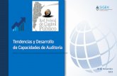 Presentación de PowerPoint - Argentina...Matriz para el análisis de riesgo: permite seleccionar los objetivos de auditoría de manera objetiva. Se evalúa el impacto que generaría