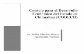 Consejo para el Desarrollo Económico del Estado de ...€¦ · • Promover la participación del sector empresarial y sociedad civil chihuahuense en los programas de fomento económico.