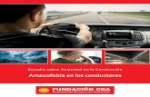 Amaxofobia en los conductores...La ansiedad en la conducción podría estar afectando a uno de cada cuatro conductores, ya que los dos estudios realizados en España hasta la fecha