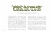 Explotación de las macroalgas marinas: Galicia como caso de … · 2015-06-15 · plado cálida del Atlántico Noreste (Bárbara et al., 2005). Esta riqueza de recursos macroal-gales