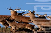 RECURSOS NATURALES...47 El grupo de componentes de Recursos naturales del Inventario Español del Patrimonio Natural y de la Biodiversidad incluye los instrumentos que recogen información