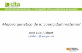 Mejora genética de la capacidad maternalcitarea.cita-aragon.es/citarea/bitstream/10532/3539/1/2016_284.pdf · destete (unos 45 días) con un peso adecuado. La capacidad maternal