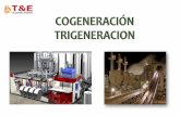 Producción simultánea de dos o mas ... - Calderas y Energíacalderasyenergia.com/Cogeneracion.pdf-Bagazo-Gas de Relleno Sanitario •Energía geotérmica •Hidrógeno •Combustibles