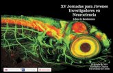 XV Jornadas para Jóvenes Investigadores en Neurociencia · 2019-08-04 · XV Jornadas para Jóvenes Investigadores en Neurociencia. A Coruña, 2019 3 PROGRAMA DE LAS XV JORNADAS