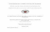 UNIVERSIDAD COMPLUTENSE DE MADRIDwebs.ucm.es/BUCM/tesis/inf/ucm-t25153.pdf · - diseño de un procedimiento de evaluación de parámetros considerando los distintos factores y contextos