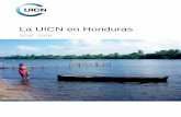La UICN en Honduras...4 I. Presentación La UICN, Unión Internacional para la Conservación de la Naturaleza, ha venido aumentando su presencia en Honduras sostenidamente en los últimos