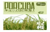 arroz proyecto no2 - ifcc1985.orgifcc1985.org/cubapon/wp-content/uploads/2016/02/arroz_proyecto_n… · el Dtoyecto de arroz en la Isla de la Juventuø 20 1 1 1 HP 20 1 1 6252—2