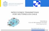INFECCIONES TRANSMITIDAS POR VECTORES EN CHILE · 2017-06-24 · Tifus de los matorrales: • Se confirma la presencia de la enfermedad en la zona sur, con casos confirmados en Chiloé