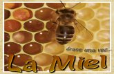 Las Abejas y la Naturaleza Las - Museo de la Miel de Málagamieldemalaga.com/asociacion/publicaciones/Erase_una_vez_la_miel.… · miel. Las Abejas y la Naturaleza. La colmena es