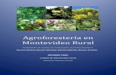 Agroforesterı́a en Montevideo Ruralmontevideo.gub.uy/sites/default/files/agroforesteria_1.pdfespecies existe interés por parte de las instituciones en producciones no tradicionales,