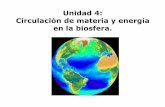 Unidad 4: Circulación de materia y energía en la biosfera.institutolaestrella.org/wp-content/uploads/2018/08/... · Retiene la energía el mayor tiempo posible en sus estructuras,