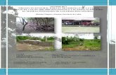 informe No 2 Costa Abajo - WordPress.com · informe No 2 Costa Abajo de Colón “Diagnostico y Planificación pa ra el Manejo Integrado de los Desechos Sólidos” Pagina 5 de 53