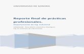 Reporte final de prácticas profesionales.cp.isi.uson.mx/practicas_docs/209201036-reporte.pdf · Reporte final de prácticas profesionales. Departamento de Ing. Industrial 209201036