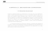 CAPÍTULO 2.- REVISIÓN DE LITERATURAcatarina.udlap.mx/u_dl_a/tales/documentos/lhr/alonso_m... · 2009-07-13 · Revisión de literatura 8 Ej., en un año: 32 personas separadas de