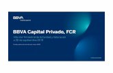 BBVA Capital Privado FCR - Informe de actividad y ......2020/01/24  · Ajustes por activos financieros disponibles para la venta Total financiación a largo plazo Acreedores varios