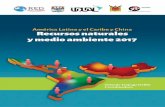 América Latina y el Caribe y China J Recursos naturales y medio … · 2017-11-03 · en el comportamiento de sus inversiones foráneas. La importancia de estos asuntos no es entonces