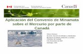 Aplicación del Convenio de Minamata sobre el Mercurio por parte … · 2019-06-25 · Aplicación del Convenio de Minamata sobre el Mercurio por parte de Canadá Alison Dickson Gerente,