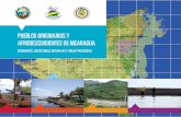 PUEBLOS ORIGINARIOS Y AFRODESCENDIENTES DE NICARAGUA · 2019-10-15 · Estado de Nicaragua reconoce la naturaleza multiétnica del país, la existencia de los Pueblos Originarios