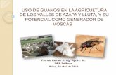 Uso de guanos en la agricultura de los valles de Azapa y Lluta, y … · 2019-06-11 · Andres Gabriel Quispe Poroto verde 1 0,75 magnun marzo junio si cordero 8 I. suelo 15 si gallina