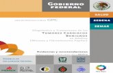 GUÍA DE PRACTICA CLINICAisssteags.gob.mx/guias_praticas_medicas/gpc/docs/IMSS... · 2019-03-05 · 1 GUÍA DE PRACTICA CLINICA gpc Diagnóstico y Tratamiento de los TUMORES CARDIACOS