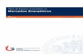 Título de Experto Universitario en Mercados Energéticosicirce.unizar.es/sites/.../tit_mercadoenerge_19-20.pdf · Mercados Energéticos 5 El Estudio consta de 5 asignaturas (10 créditos).