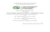 UNIVERSIDAD NACIONAL AGRARIA FACULTAD DE AGRONOMIA TRABAJO DE …repositorio.una.edu.ni/3661/1/tnh10t315.pdf · 2018-05-04 · UNIVERSIDAD NACIONAL AGRARIA FACULTAD DE AGRONOMIA TRABAJO