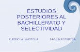 ESTUDIOS POSTERIORES AL BACHILLERATO Y SELECTIVIDAD · 2018-06-15 · 2 TEMAS DE LA REUNIÓN 1. Estudios posteriores al Bachillerato: Universidad Ciclos formativos de grado superior