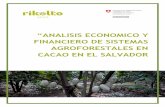 “ANALISIS ECONOMICO Y FINANCIERO DE SISTEMAS ...cadenacacaoca.info/wp-content/uploads/2019/03/... · MODELOS PROMISORIOS DE CACAO EN SAF PARA LA REGIÓN OCCIDENTAL, CENTRAL Y ORIENTAL