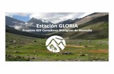 3.- Estación GLORIA corregida (1) - Gef Montañagefmontana.cl/descargas/3-Estacion-GLORIA3.pdf · • El área de estudio de GLORIA es la biozona alpina (o de alta montaña), deﬁnida