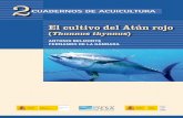 El cultivo del Atún rojo - Observatorio Español de Acuicultura · 2019-05-22 · el cultivo del atún rojo (thunnus thynnus) antonio belmonte fernando de la gÁndara 2 cuadernos