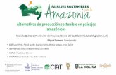 Alternativas de producción sostenible en paisajes amazónicos · 2018-12-04 · beneficios socioeconómicos para los agricultores. Enfoque del Proyecto. Precipitation changes by