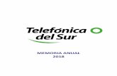 MEMORIA ANUAL 2018 - Telsur · 2019-04-02 · Internet, con tecnología Bluetooth y Wireless LAN, en sociedad con las empresas JCE Chile y Consafe Infotech, posicionando a Telsur