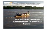 Biodiversidad, Servicios Ecosistémicos y Bienestar humano · 2016-12-23 · fuente directa de riqueza para los países en desarrollo, a través de cultivos nativos, productos forestales,
